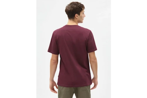 Dickies Ss Mapleton T-Shirt Ανδρικό (DK0A4XDBMR01)