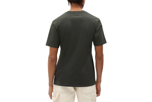 Dickies Mapleton T-Shirt Ανδρικό (DK0A4XDBOGX1)