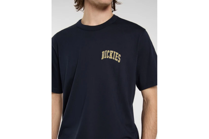 Dickies Sneedville Ανδρικό Κοντομάνικο T-Shirt Μαύρο