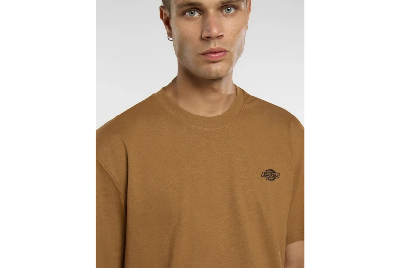 Dickies Summerdale Ανδρικό Κοντομάνικο T-Shirt Καφέ