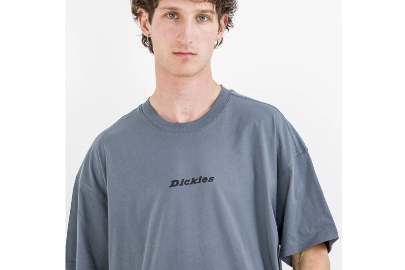 Dickies Enterprise Ανδρικό Κοντομάνικο T-Shirt Γκρι Σκούρο