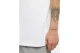 Dickies Clancy Heavyweight Ανδρικό Κοντομάνικο T-Shirt Λευκό