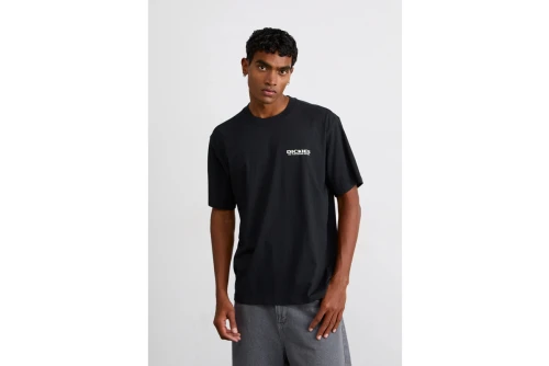 Dickies Burns T-Shirt Ανδρικό (DK0A87QIBLK1)