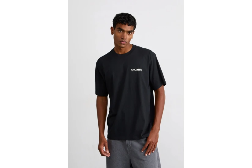 Dickies Burns Ανδρικό Κοντομάνικο T-Shirt Μαύρο