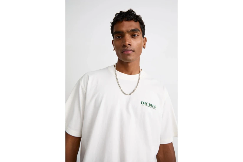 Dickies Burns Ανδρικό Κοντομάνικο T-Shirt Εκρού