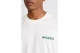 Dickies Burns Ανδρικό Κοντομάνικο T-Shirt Εκρού