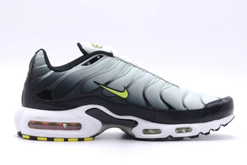Nike Air Max Plus Sneakers (DM0032 006)