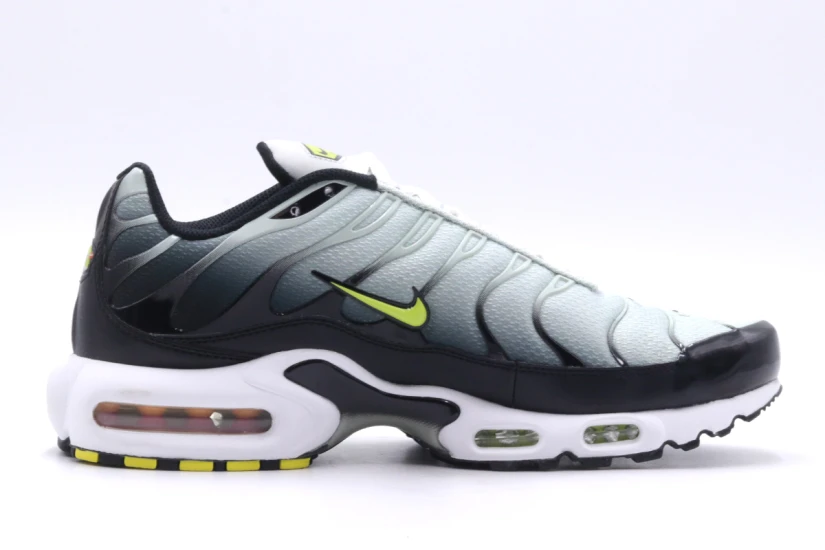 Nike Air Max Plus Ανδρικά Sneakers (DM0032 006)