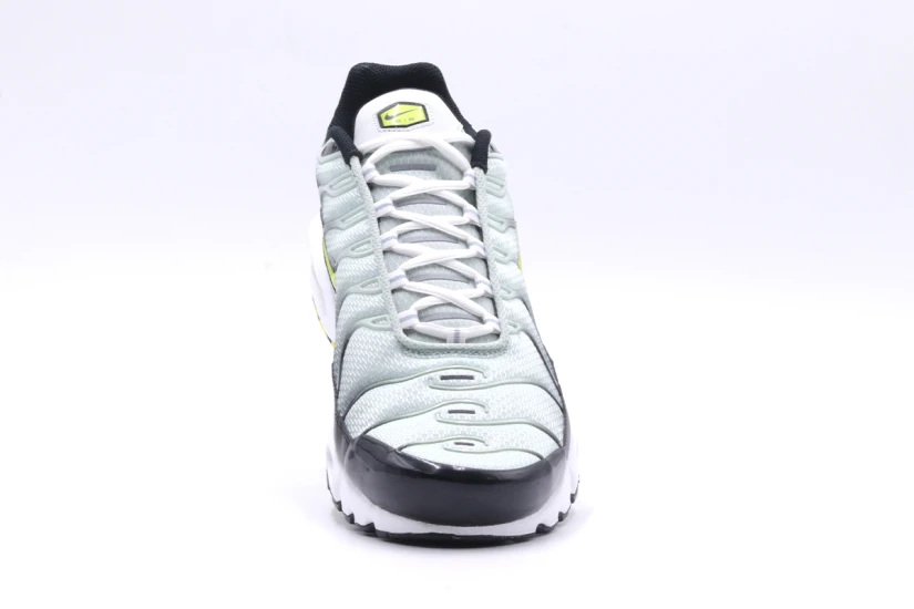 Nike Air Max Plus Ανδρικά Sneakers (DM0032 006)