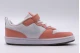Nike Court Borough Low 2 Se1 Psv Sneaker (DM1217 100)