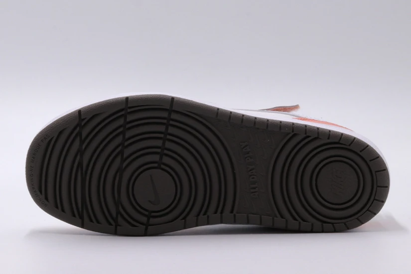 Nike Court Borough Low 2 Se1 Psv Sneaker (DM1217 100)