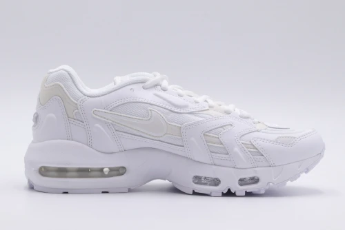 Nike Air Max 96 Ii Sneaker (DM2361 100)