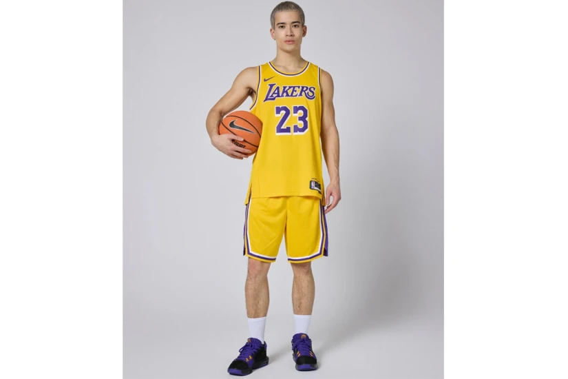 Nike Dri-FIT NBA Lebron James Los Angeles Lakers Icon Edition Ανδρική Μπασκετική Φανέλα Κίτρινη, Μωβ