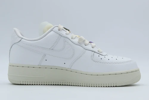 Nike Air Force 1 Low Premium Sneakers (DN5463 100)