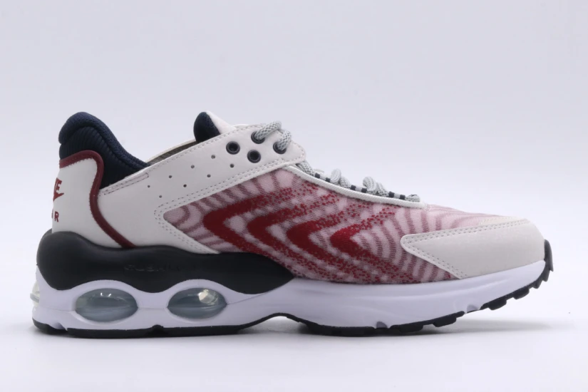 Nike Air Max Unisex Sneakers (DQ0296 005)