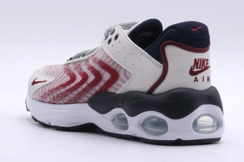 Nike Air Max Unisex Sneakers (DQ0296 005)