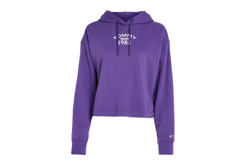 Tommy Jeans Tjw Rlx Essential Logo 2 Hoodie Γυναικείο (DW0DW16141 VML)