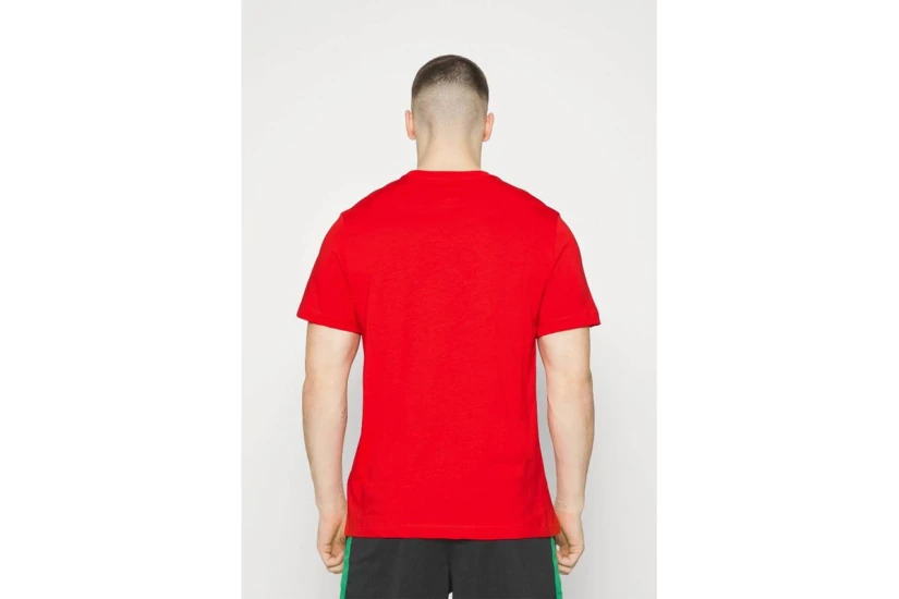 Nike T-Shirt Ανδρικό (DZ0302 657)