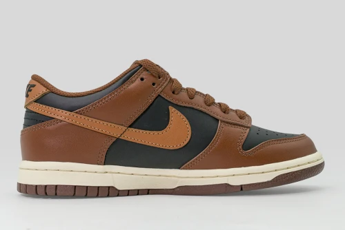 Nike Dunk Low Sneakers (FB9109 006)