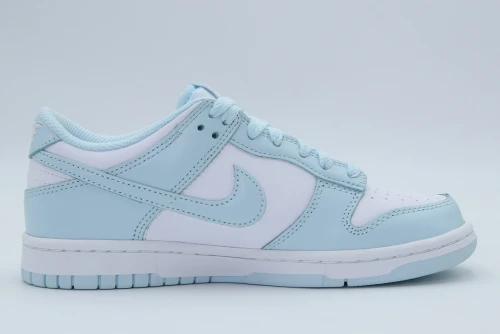 Nike Dunk Low Sneakers (FB9109 105)