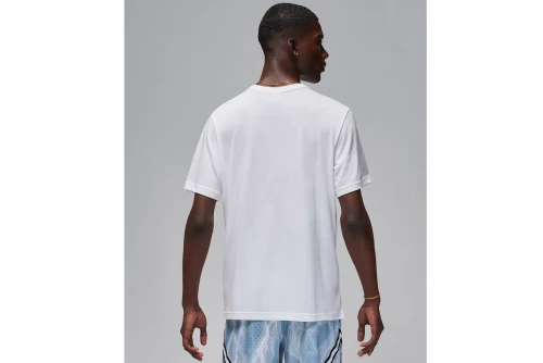 Jordan Sport Dri-Fit T-Shirt Ανδρικό (FN5829 100)