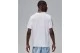 Jordan Sport Dri-FIT Ανδρικό Κοντομάνικο T-Shirt Λευκό
