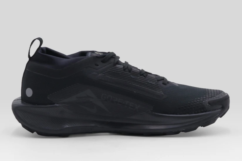 Nike Pegasus Trail 5 GORE-TEX Αθλητικά Παπούτσια Trail Running