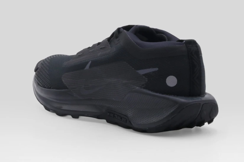 Nike Pegasus Trail 5 GORE-TEX Αθλητικά Παπούτσια Trail Running