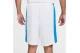 Nike Dri-FIT Limited Ηome Ανδρική Μπασκετική Βερμούδα Εθνικής Ελλάδας