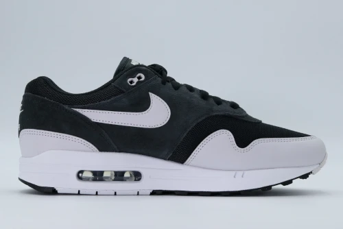 Nike Air Max 1 Ess Sneakers (FZ5808 007)