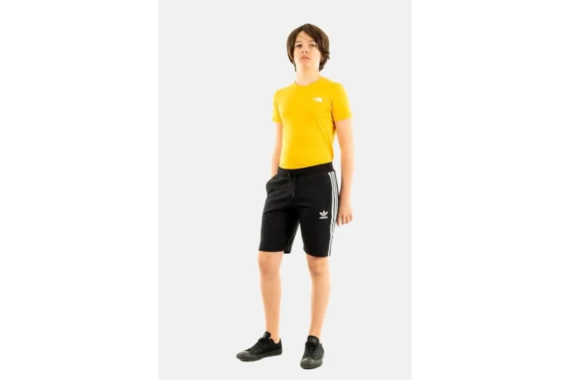 Adidas Originals Shorts (H32342)