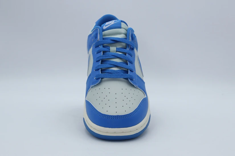 Nike Dunk Low Retro Ανδρικά Sneakers Γκρι Ανοιχτό, Γαλάζια