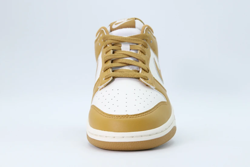 Nike Dunk Low Retro Ανδρικά Sneakers