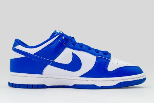 Nike Dunk Low Retro Sneakers (HF5441 112)