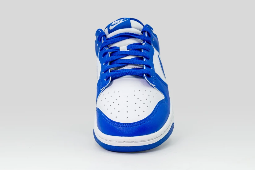 Nike Dunk Low Ανδρικά Sneakers Λευκά, Ρουά