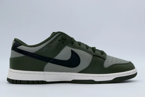 Nike Dunk Low Retro Sneakers (HF5441 300)