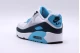 Nike Air Max 90 Sneakers