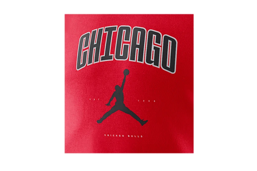 Jordan NBA Chicago Bulls Essential Ανδρικό Κοντομάνικο T-Shirt