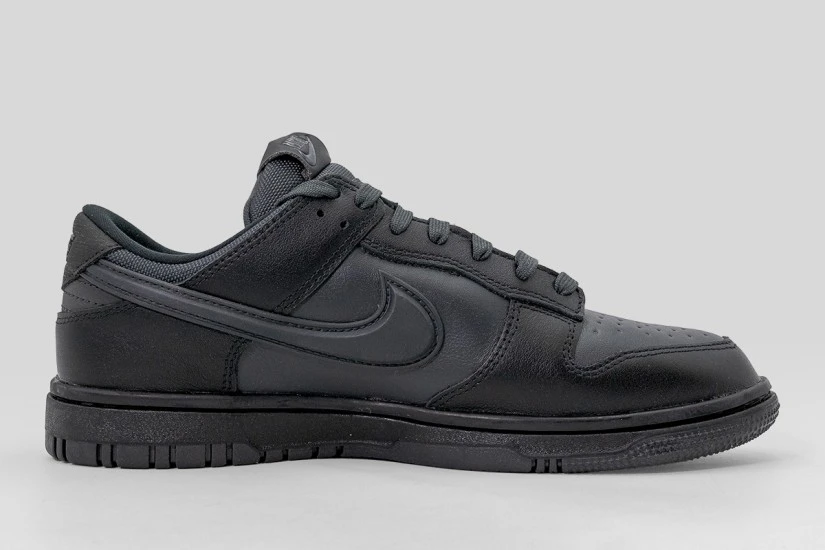 Nike Dunk Low Gore-Tex Ανδρικά Sneakers Μαύρα