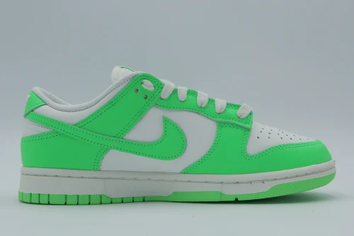 Nike Dunk Low Sneakers (HV0842 133)