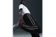Nike LeBron Standard Issue Therma-Fit Ανδρικό Παντελόνι Φόρμας Μαύρο