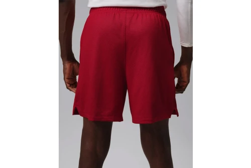 Jordan Sport Essentials Dri-Fit Σορτς Αθλητικό Ανδρικό (IF0891 687)