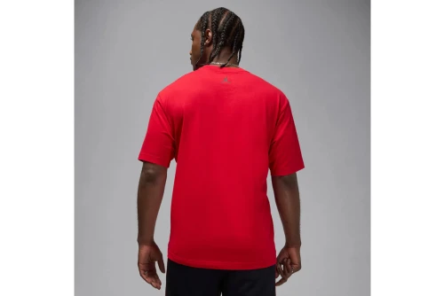 Jordan Wings Photo T-Shirt Ανδρικό (IF5617 687)
