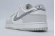 Nike Dunk Low Sneakers Εκρού, Γκρι Ανοιχτό, Ασημί