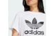 Adidas Originals Adicolor Trefoil Boxy Κοντομάνικο T-Shirt Λευκό