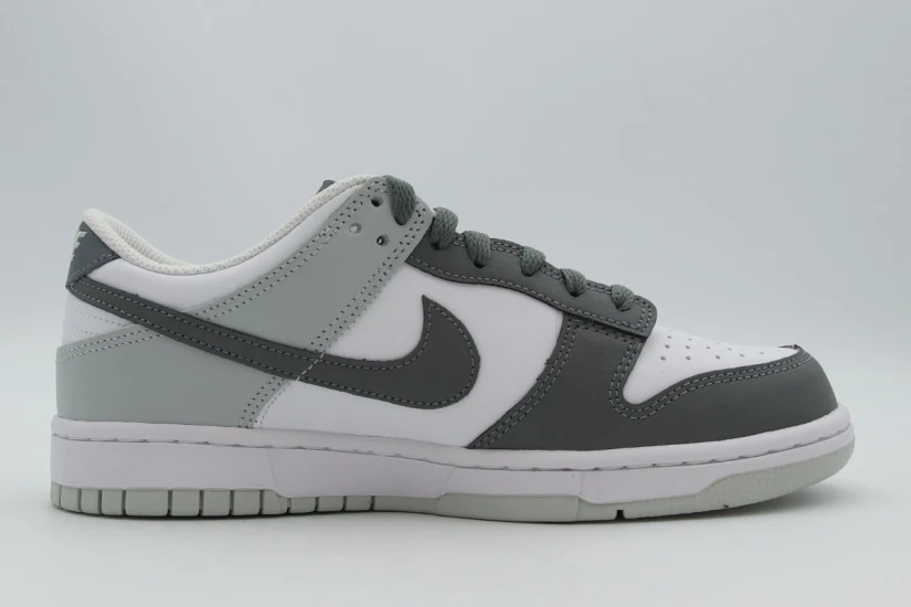 Nike Dunk Low Sneakers (IQ0804 102)