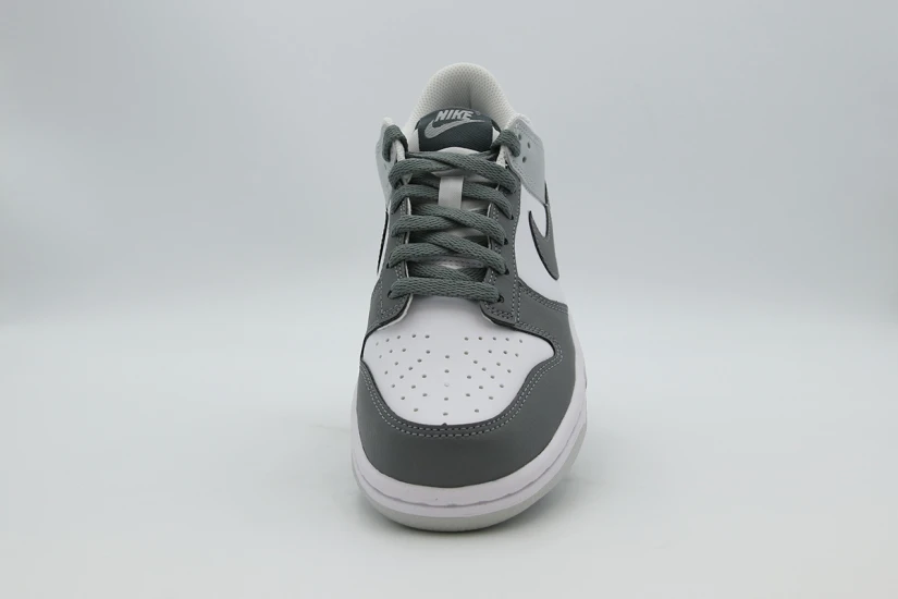 Nike Dunk Low Sneakers (IQ0804 102)