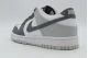 Nike Dunk Low Sneakers (IQ0804 102)