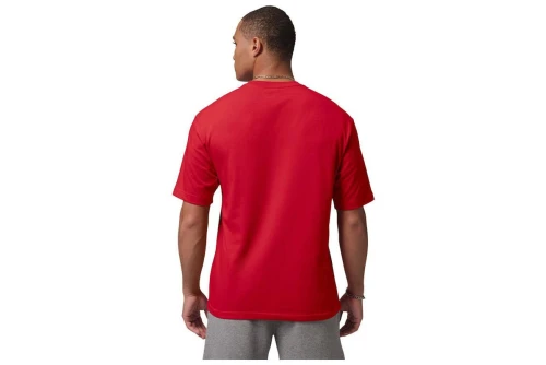 Jordan Jumpman T-Shirt Ανδρικό (IR0342 687)