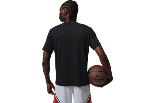 Jordan Sport Dri-Fit T-Shirt Ανδρικό (IR0864 010)